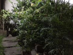 -院子餐厅·大锅菜·老杭帮(桥西直街店)