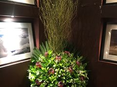 景观位-花马天堂云南餐厅 Lost Heaven(外滩店)