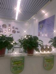 -悟空祛痘·诺奖技术专业店