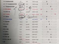 -半岛宠物医院24小时(科华中路店)