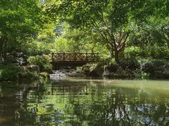 -中国茶叶博物馆(双峰馆区)