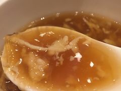 红烧花胶鸡丝翅-海都六福酒家(世博广场店)