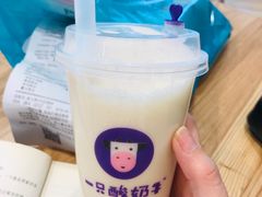 -一只酸奶牛(双流万达广场店)