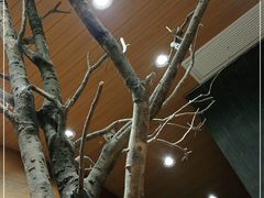 -茶颜悦色(登高路上店)