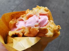 -成裕雪糕店(士多店)