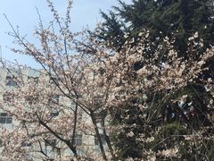 -老味道民宿(栈桥店)