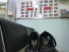 -宠颐生中康贝怡动物医院