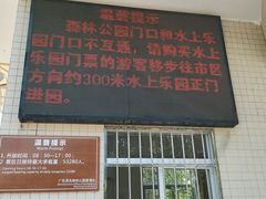 -广东茂名森林公园