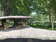 -北京野生动物园