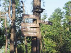 -重庆雨台山风景区