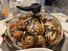 -半岛听涛蒸汽海鲜自助(K11店)