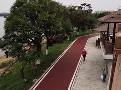 -鹤之洲湿地公园