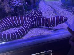 -太平洋海底世界