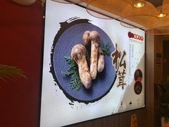 -跷脚牛肉菌汤锅·创百年老店(九里堤店)