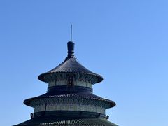 -黄贤森林公园