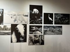 -中国湿地博物馆