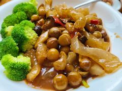 -百年银屏蚝烙·潮汕菜·非遗(乐山店)