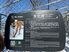 -横道河子东北虎林园