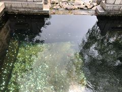 -趵突泉景区