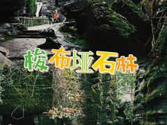 -梭布垭石林景区