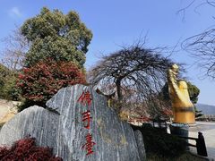-庐山风景名胜区-东林大佛