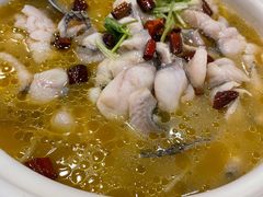 -蜀腾川·火锅鱼.烤鱼(新世界城店)