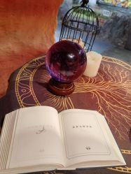 -Zoolung Zoolung动物主题公园(海信广场店)