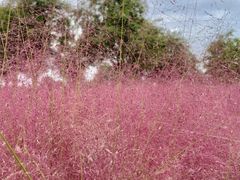 -汉长安城未央宫国家考古遗址公园