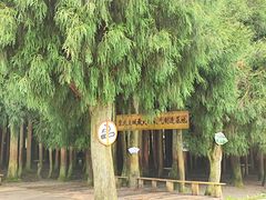 -武陵山森林公园