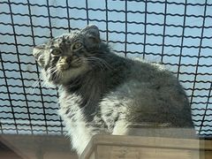 -青藏高原野生动物园