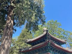 -大觉寺-停车场