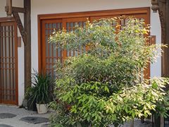 -三圣花乡旅游区