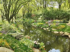 -上海共青森林公园