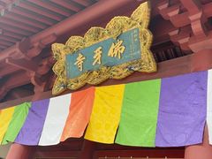 -新加坡佛牙寺龙华院