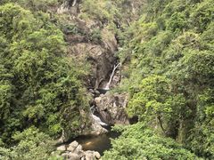 -海南热带雨林国家公园吊罗山景区