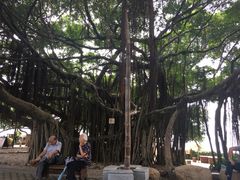 -胡里山炮台