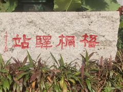 -梧桐山风景名胜区