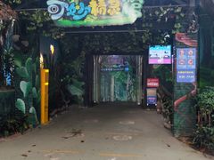 -广州长隆飞鸟乐园