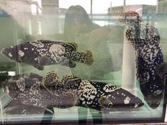 -墨尔本滨海港区