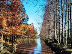 -上海长兴岛郊野公园