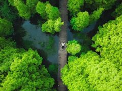 -桤木河湿地公园