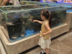 -百姓渔村(南中环店)