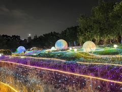 -光明农场大观园