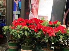 -Dragonfly悠庭·按摩Spa(新乐路店)