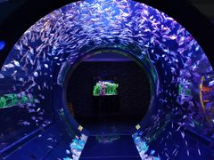 -成都浩海立方海洋公园