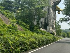 -宜兴龙背山森林公园