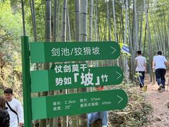 -莫干山风景区