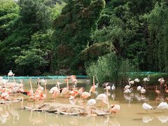 -宁波野生动物园