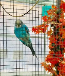 -萌宠亲子动物乐园(槐房万达店)