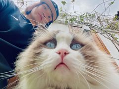 -喵屿·大理花园猫咖